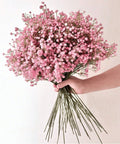 5pcs Pink Gypsophila Artificial Flowers